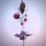 Parfum Oud_patchouli-HemadiLuxuryOu