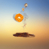 Parfum Oud & Ambre-Hemadi Luxury Oud