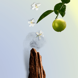 Parfum Oud - HEMADI LUXURY OUD