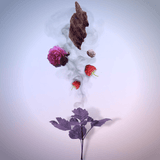 Parfum Oud - HEMADI LUXURY OUD