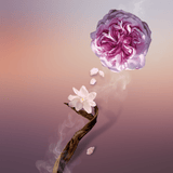 Parfum Oud - HEMADI LUXURY OUD